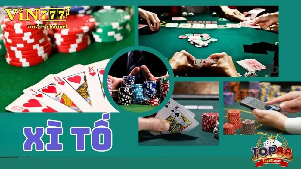 Xì Tố Là Gì? Luật Chơi Cơ Bản Cho Người Mới